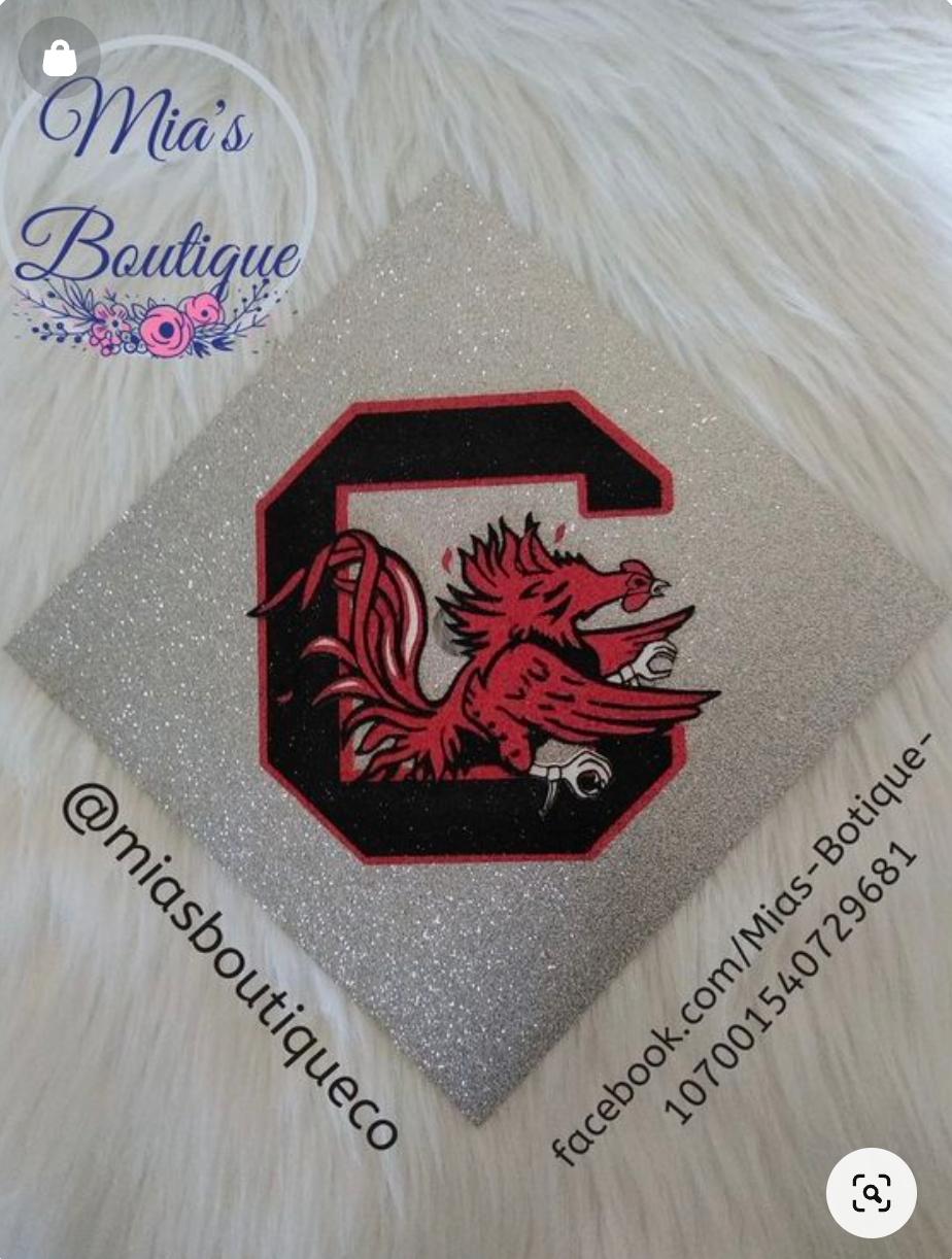 University of South Carolina Graduation Cap Topper Teacher Purple