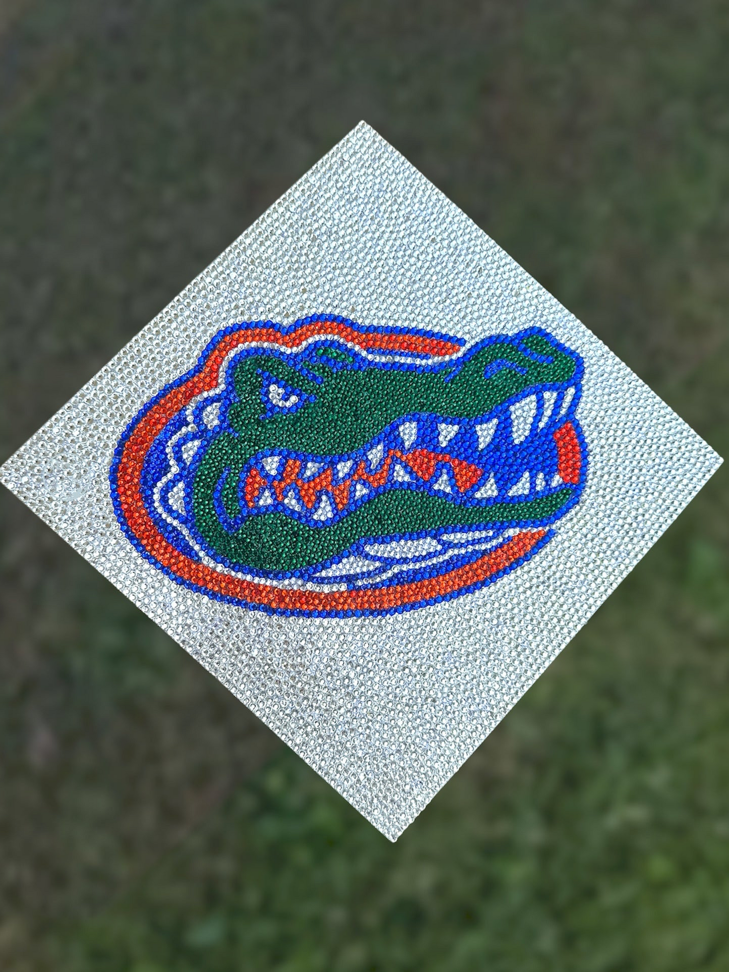 University of Florida Graduation Cap Topper UF Graduation Cap, Gators Grad Cap