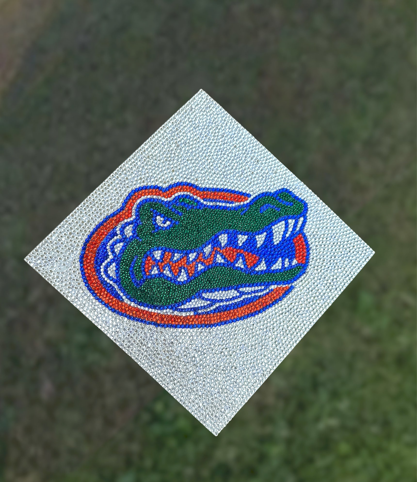 University of Florida Graduation Cap Topper UF Graduation Cap, Gators Grad Cap